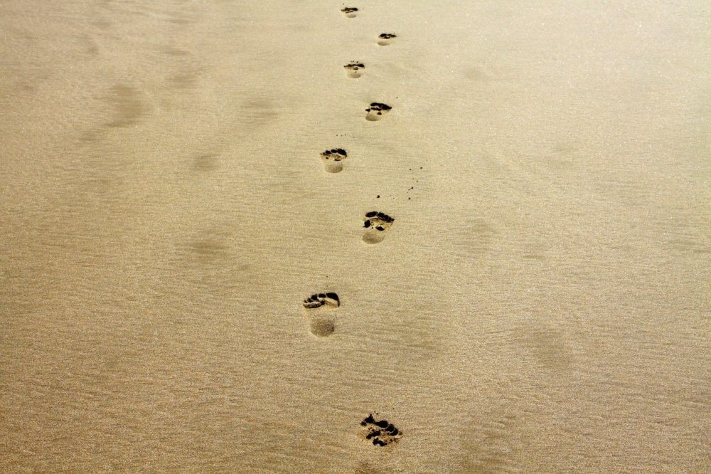 Vergessen Sie ökologische Fußabdrücke: Handprint ermöglicht eine