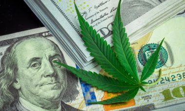 Here-are-the-basics-of-marijuana-stocks-for-first-time-investors-820x550