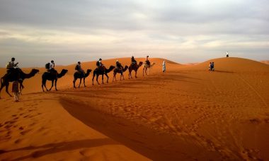 desert-caravan-dune-ride-53537